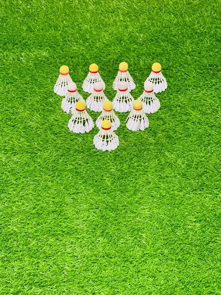 AT Sports Badminton Feather Shuttlecocks in good quality pack of (6 & 12) (Pack of 6)