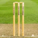 AT Sports Wooden Cricket Stumps [ICC Regulation] – Club & County Senior Stumps TM Sports1